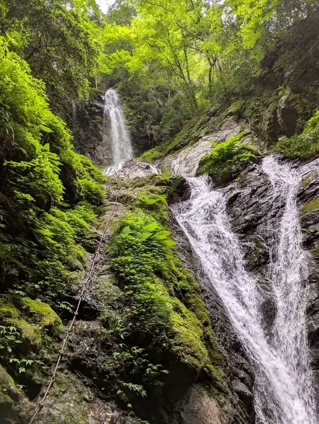 神山町(徳島)