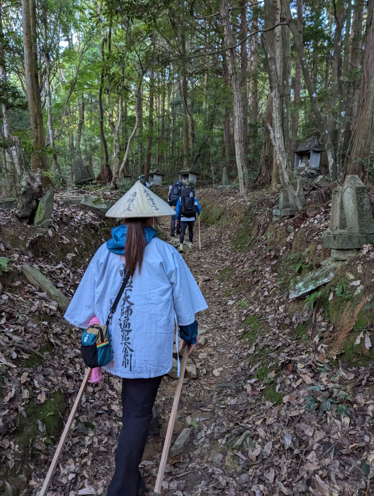 菅笠をかぶり金剛杖をついて杉林の遍路道を行く