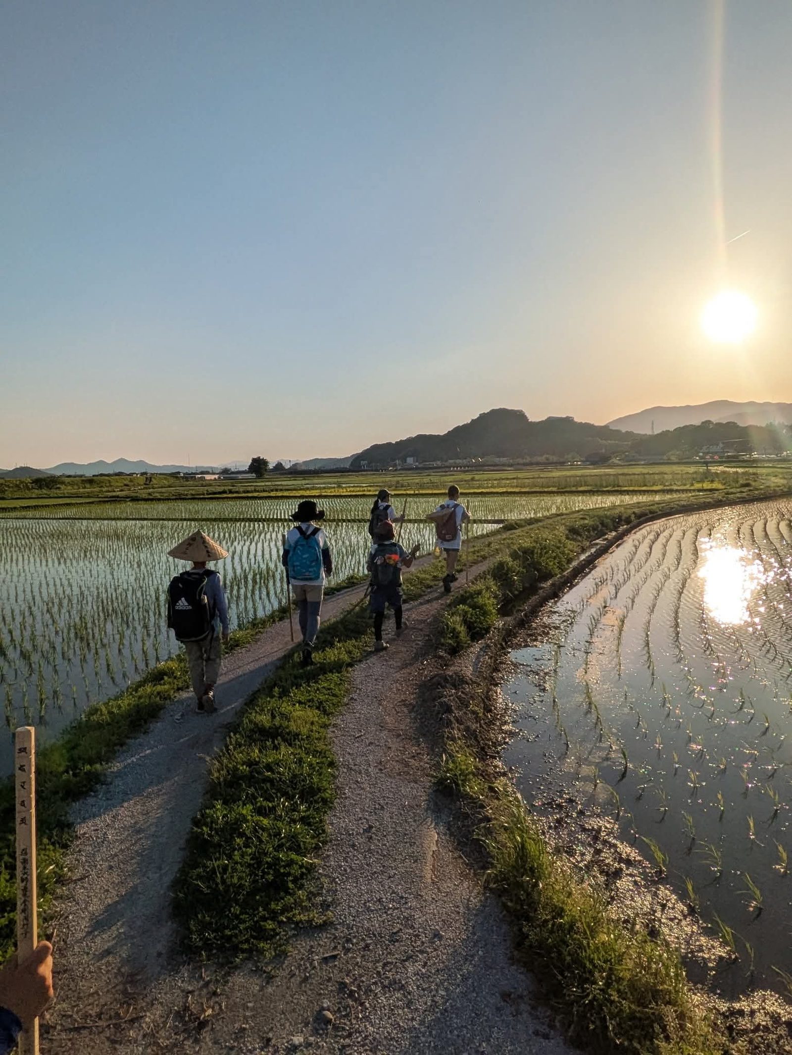 夕日に輝く田んぼのあぜ道を歩くお遍路一行