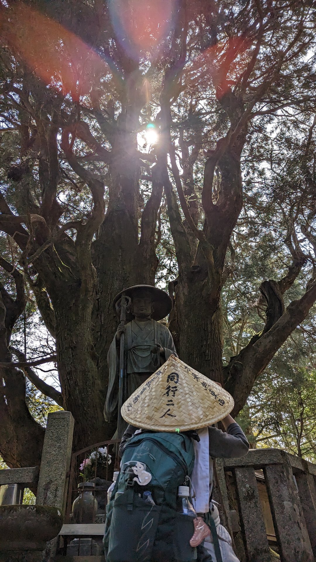 同行二人、大木の下を歩く後ろ姿